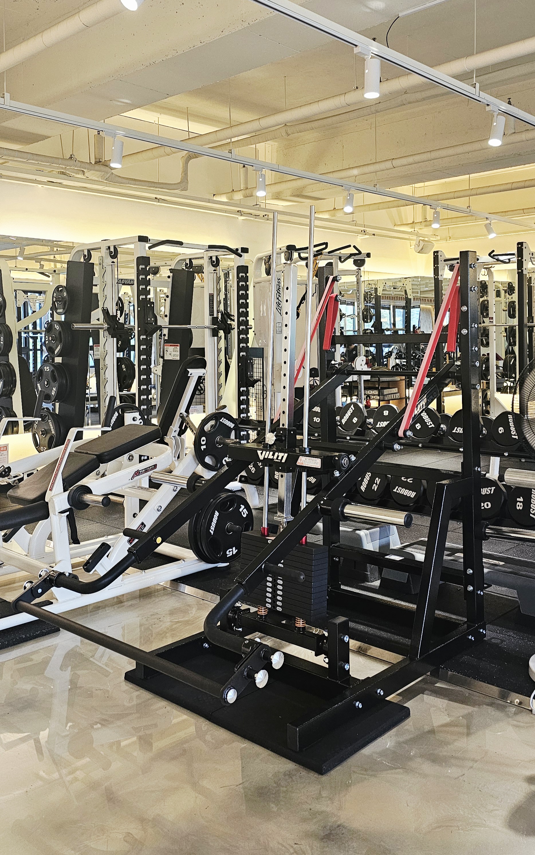 /user/s/stronggym/editor/2510/88a521710fe2d2f5cf2b6320ffcc71af_1761586484_4055.jpg 이미지크게보기